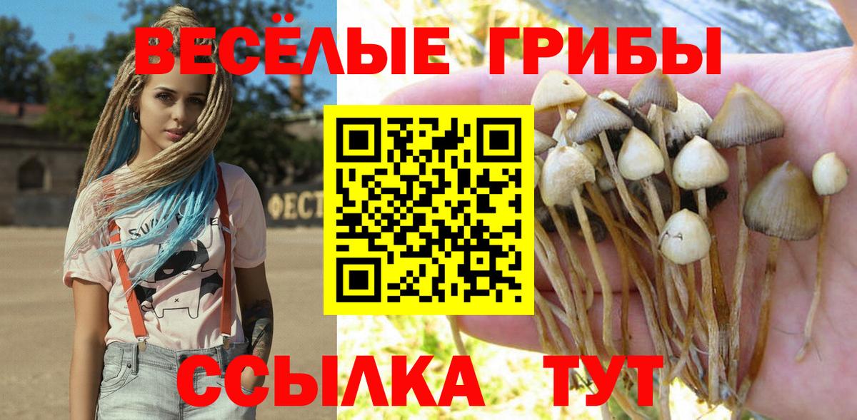 Галлюциногенные грибы GOLDEN TEACHER Великие Луки